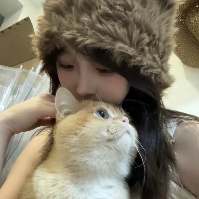 哈吉布基的森林冒险